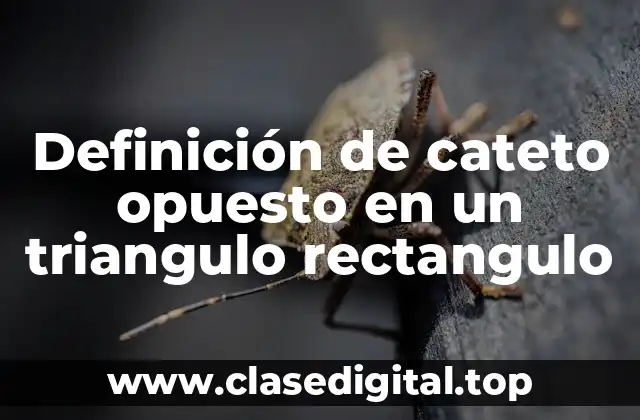 Definición de cateto opuesto en un triangulo rectangulo