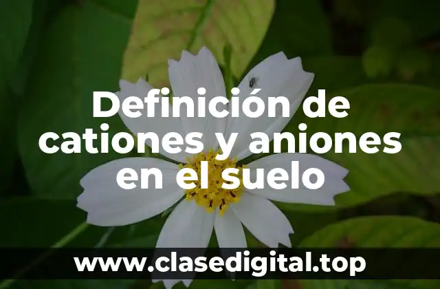 Definición de cationes y aniones en el suelo
