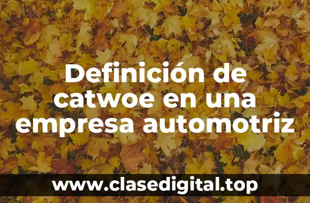 Definición de catwoe en una empresa automotriz