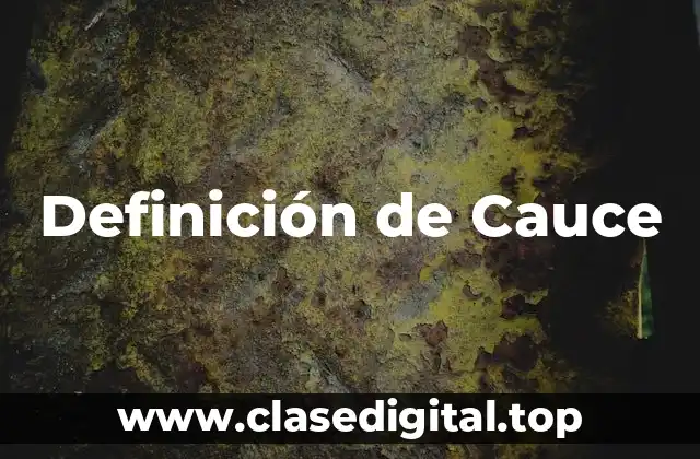 Definición de Cauce
