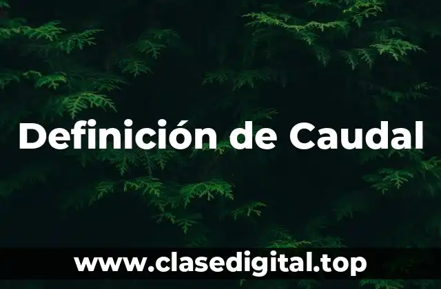 Definición técnica de Caudal