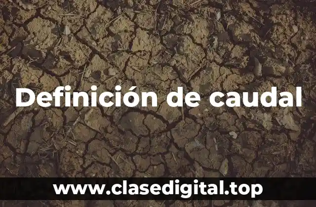 Definición técnica de caudal