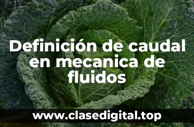 Definición de caudal en mecanica de fluidos