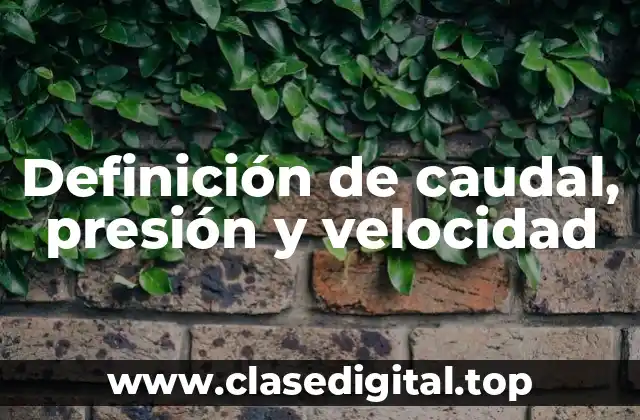 Definición de caudal, presión y velocidad