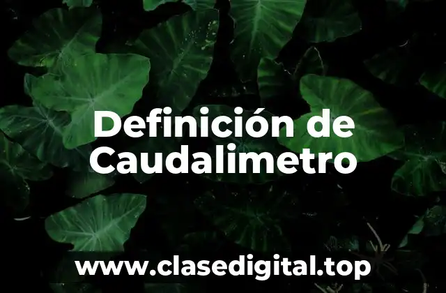 Definición de Caudalimetro