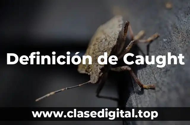 Definición de Caught