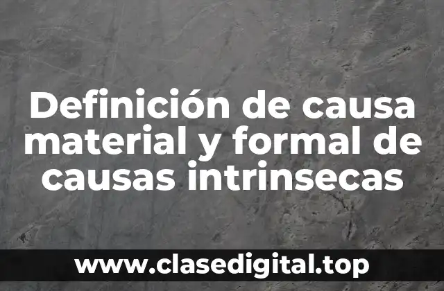 Ejemplos de causa material y formal de causas intrinsecas