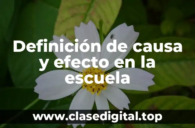 Definición de causa y efecto en la escuela