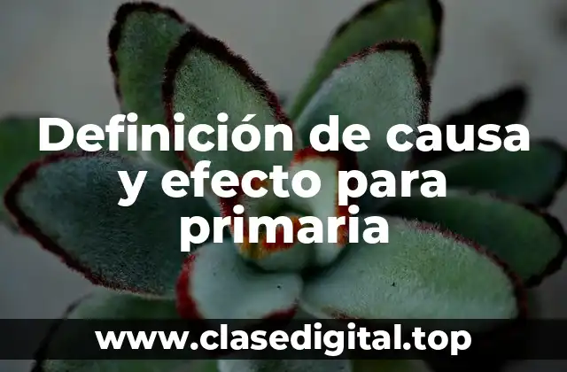 Definición de causa y efecto para primaria