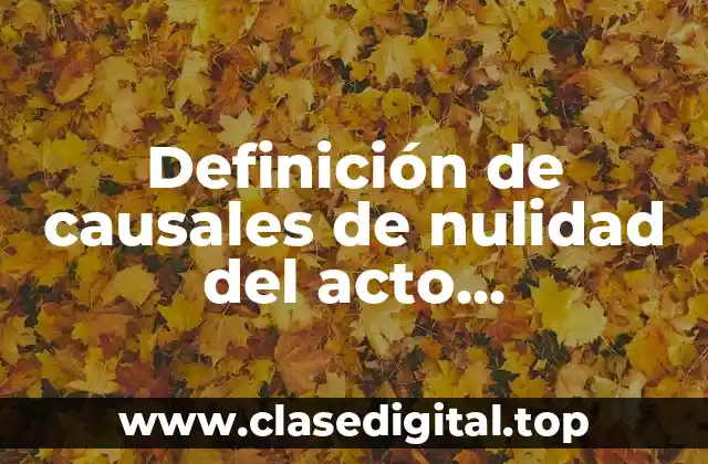 Definición de causales de nulidad del acto administrativo