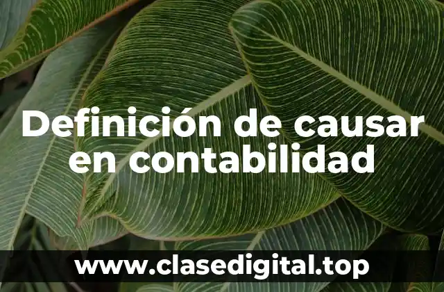 Definición de causar en contabilidad