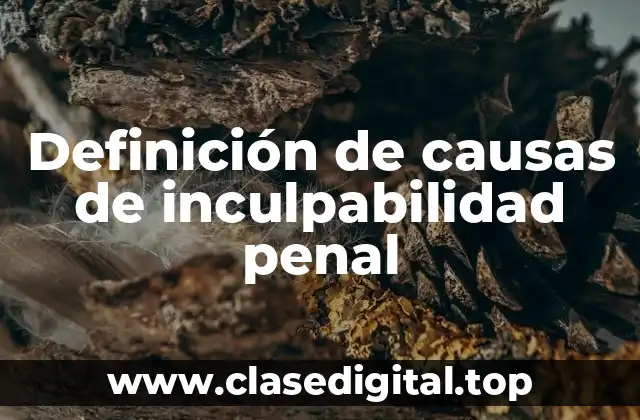 Definición de causas de inculpabilidad penal