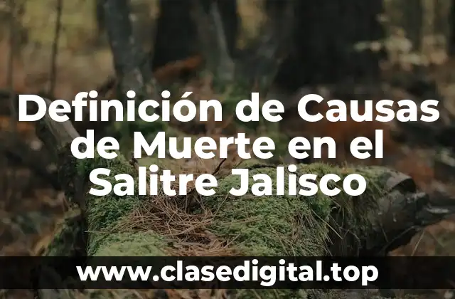 Definición de Causas de Muerte en el Salitre Jalisco