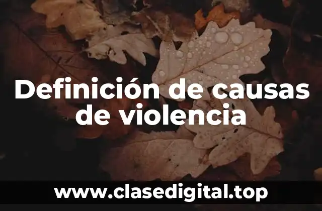 Definición de causas de violencia