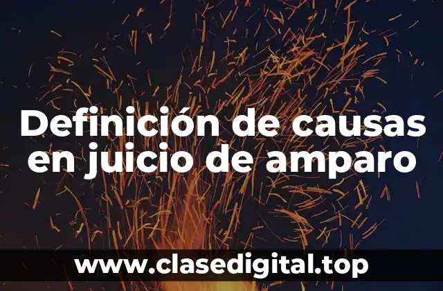 Definición de causas en juicio de amparo
