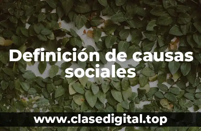 Definición de causas sociales