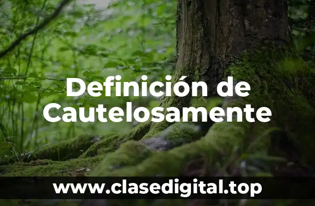 Definición de Cautelosamente