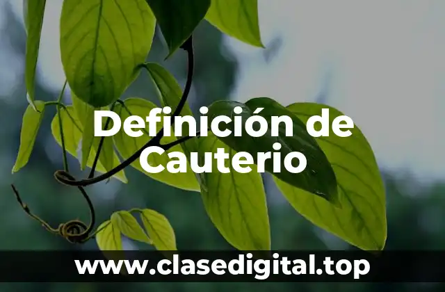 Definición de Cauterio