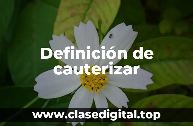Definición de cauterizar