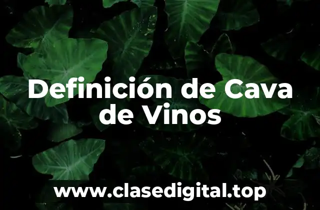 Definición de Cava de Vinos