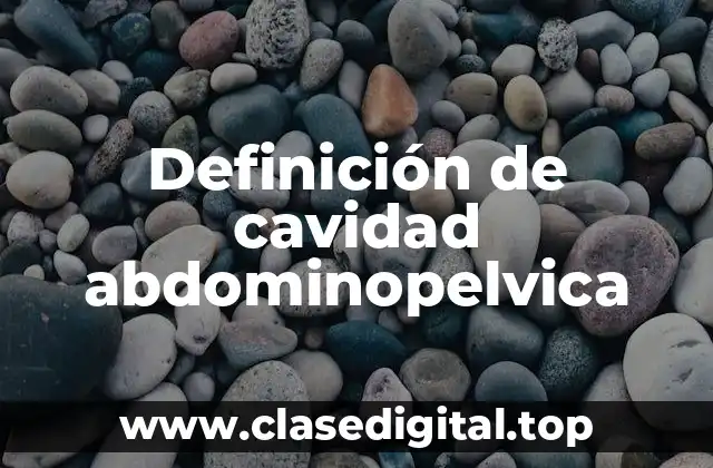 Definición de cavidad abdominopelvica