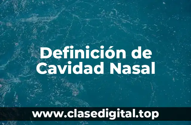 Definición técnica de Cavidad Nasal