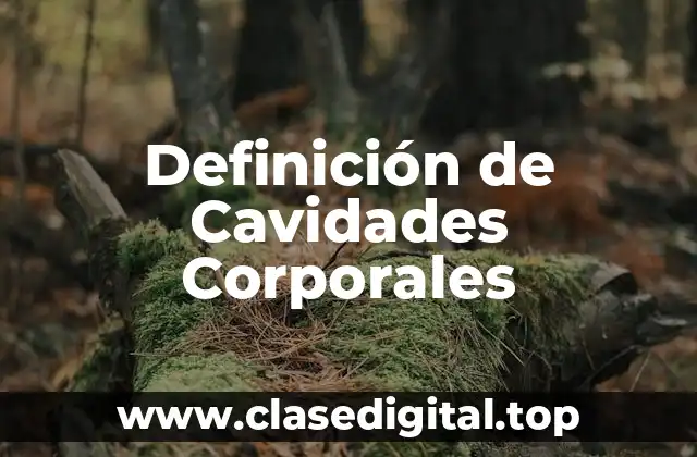 Definición de Cavidades Corporales