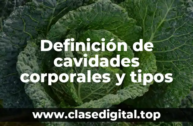 Definición de cavidades corporales y tipos
