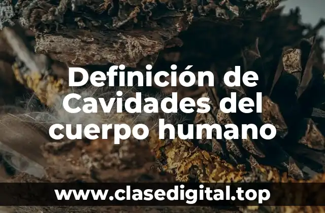Definición de Cavidades del cuerpo humano