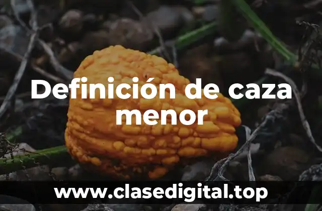 Definición de caza menor