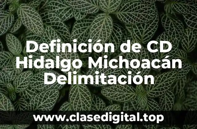 Definición de CD Hidalgo Michoacán Delimitación