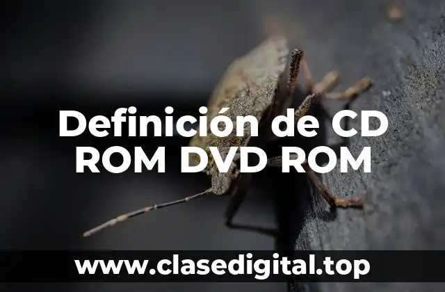 Definición de CD ROM DVD ROM