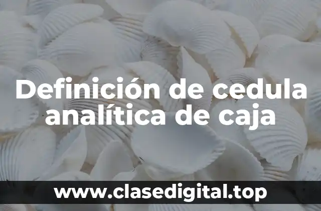 Definición de cedula analítica de caja