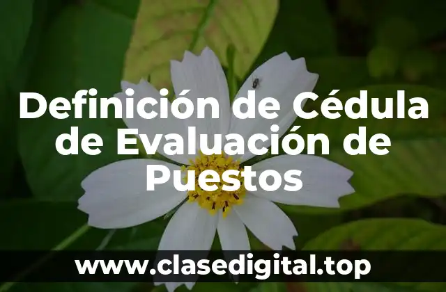 Definición de Cédula de Evaluación de Puestos