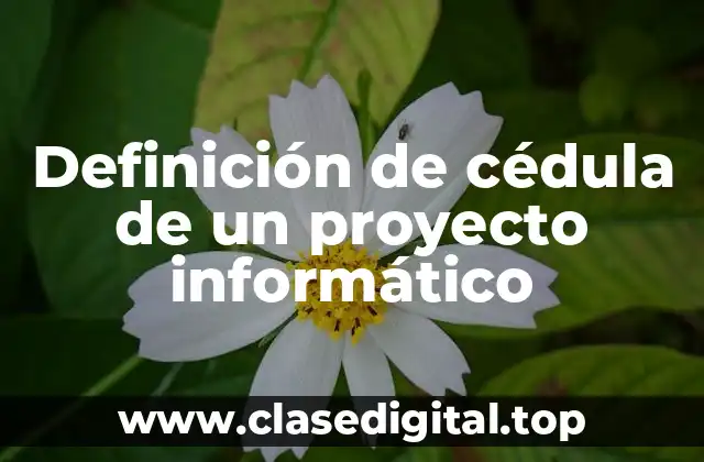 Definición de cédula de un proyecto informático