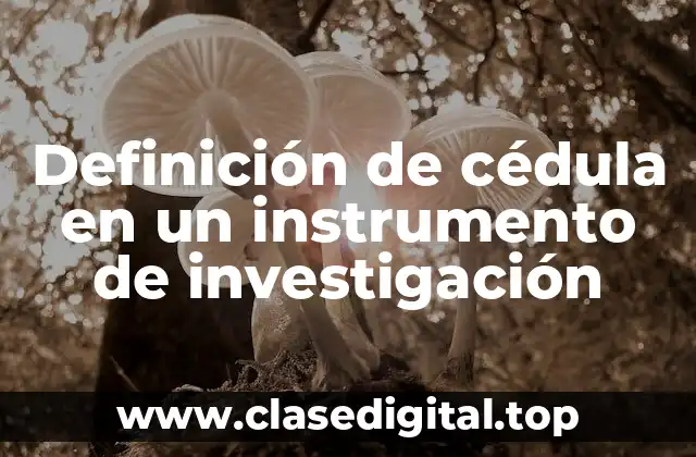 Definición de cédula en un instrumento de investigación