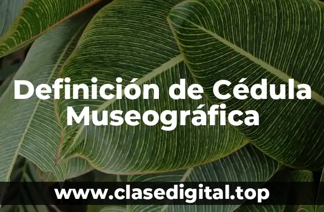 Definición de Cédula Museográfica