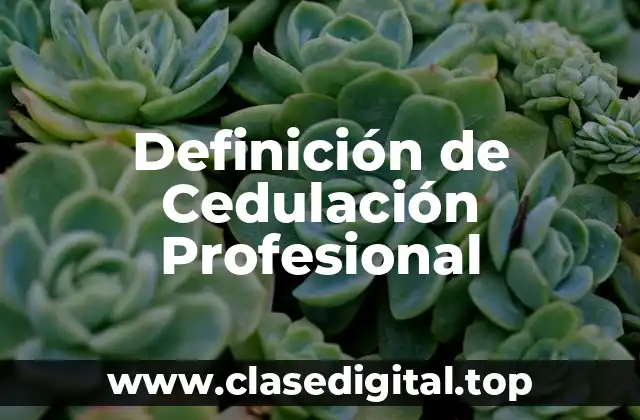 Definición de Cedulación Profesional