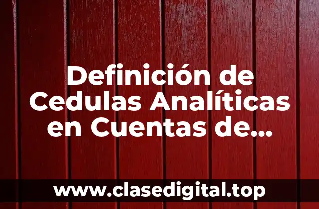 Definición de Cedulas Analíticas en Cuentas de Efectivo