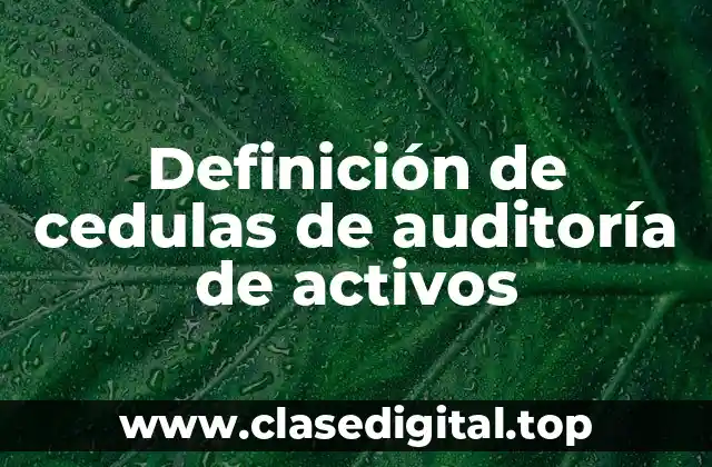 Definición de cedulas de auditoría de activos