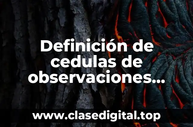 Definición de cedulas de observaciones auditoria