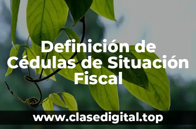 Definición de Cédulas de Situación Fiscal