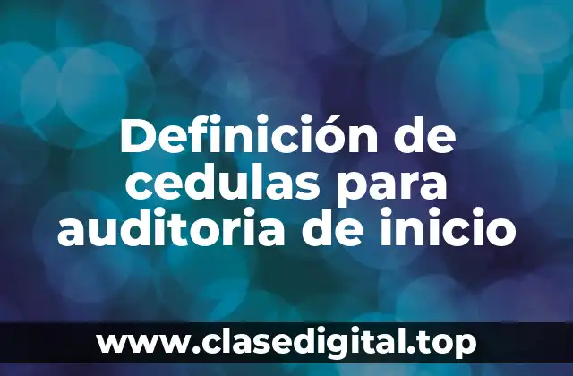 Definición de cedulas para auditoria de inicio