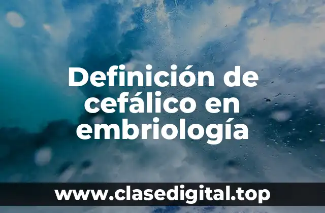Definición de cefálico en embriología
