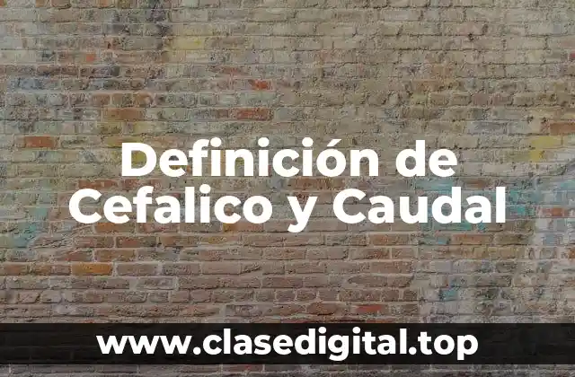 Definición de Cefalico y Caudal