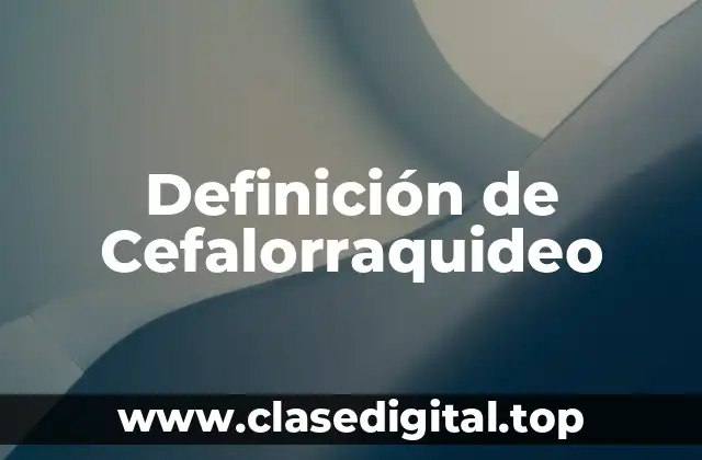 Definición de Cefalorraquideo