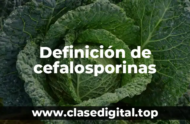 Definición técnica de cefalosporina