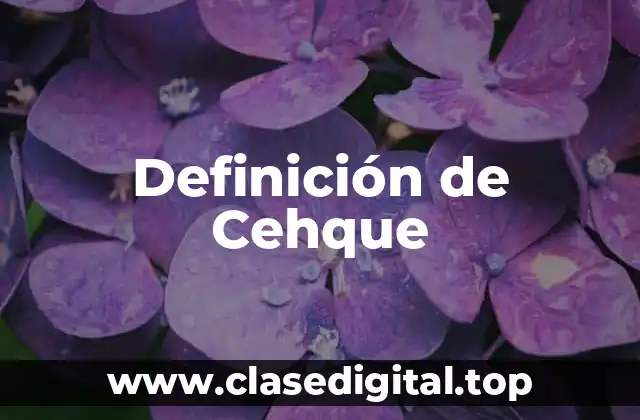 Definición de Cehque