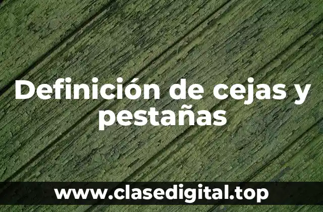 Definición de cejas y pestañas