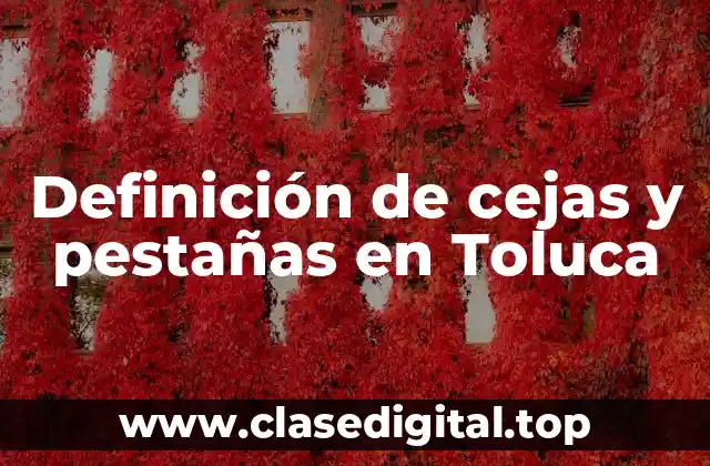 Definición de cejas y pestañas en Toluca